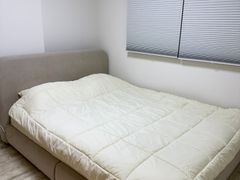 덴하우스 11번째 이미지