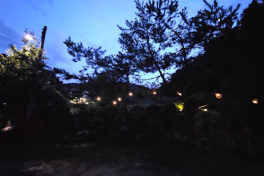 단독 사용 하루한팀