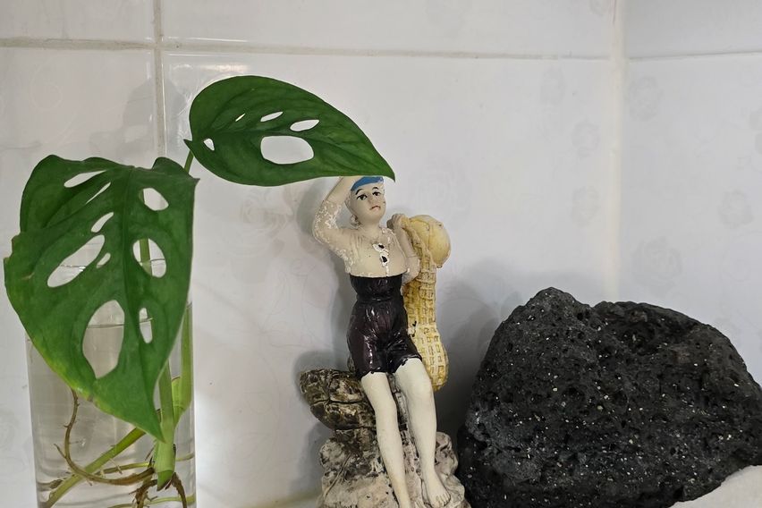 공항10분,해변10분