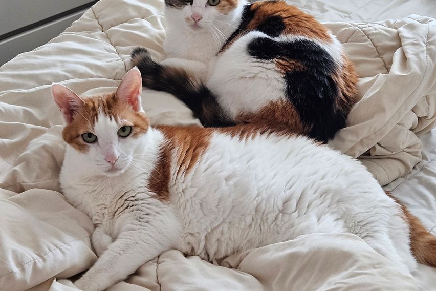 ㅇㅇㅇㅇㅇ 5번째 이미지