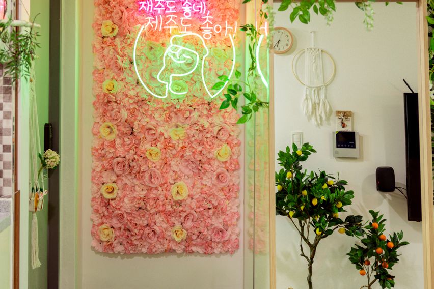 재주도 좋네(발리감성) 2번째 이미지