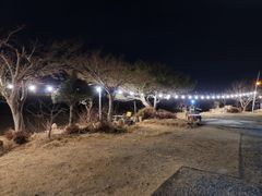 위드블랑 2번째 이미지