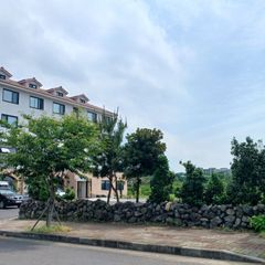 서귀포감귤밭1.5룸 방 이미지
