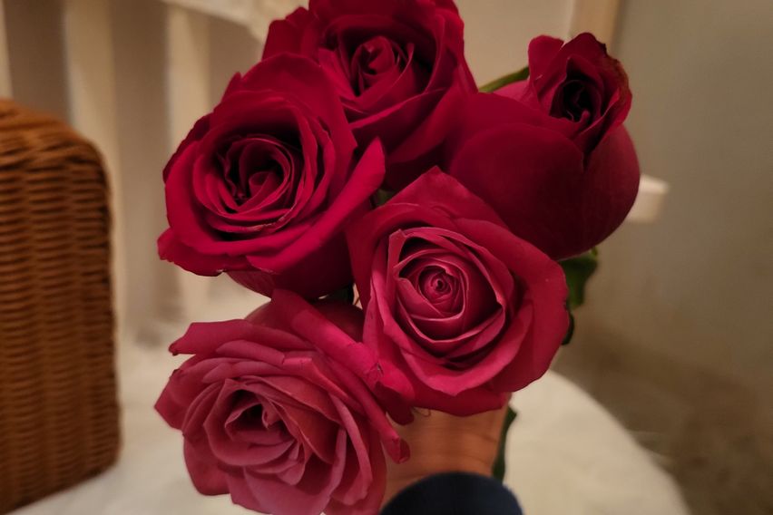 새소리하우스 5번째 이미지