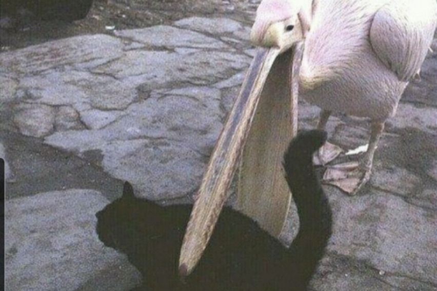 ㅇㅇㅇㅇㅇ 3번째 이미지