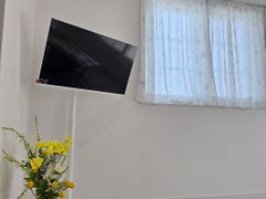 감추해변 애견동반성수기 13번째 이미지