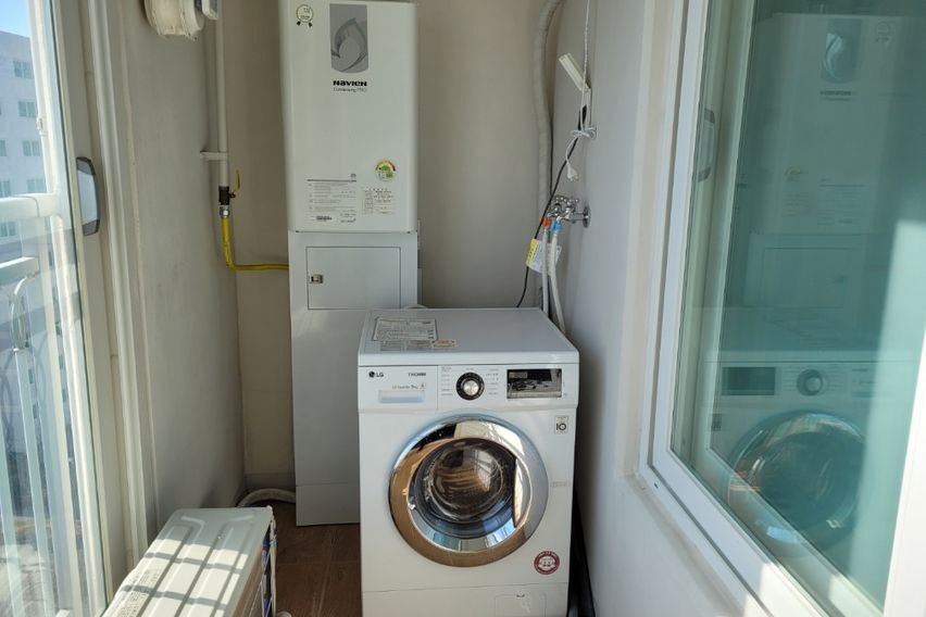 🌈 서귀포17평 애견