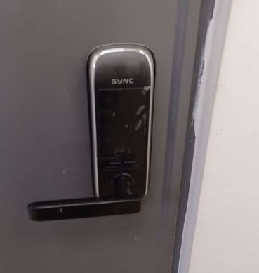 스탠다드 디럭스405