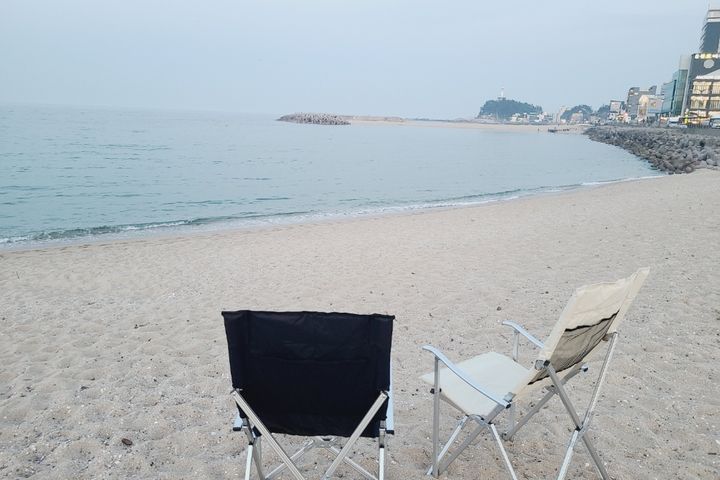 속초 바다양 13번째 이미지