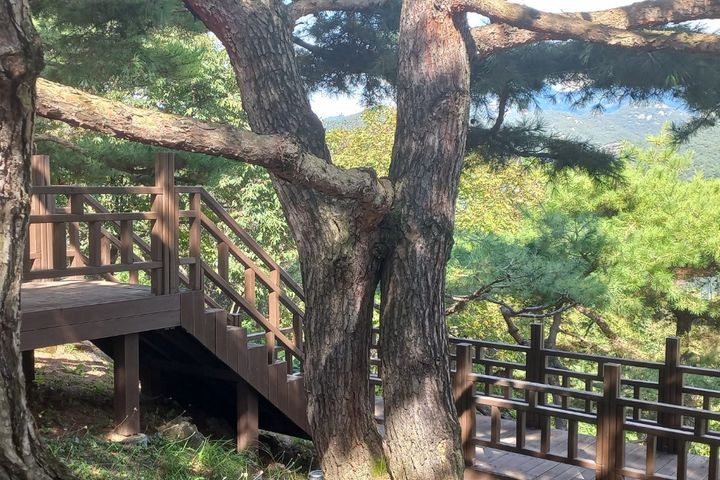 충주호 호수뷰 2층독채 19번째 이미지