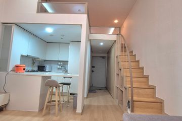 백석역5분일산병원무료주