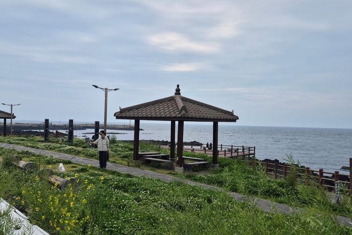 당근이네 14번째 이미지