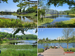 Top-floor unit overlooking the lake park [adj 19th image