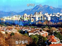 정발산 자연과 새소리 6번째 이미지