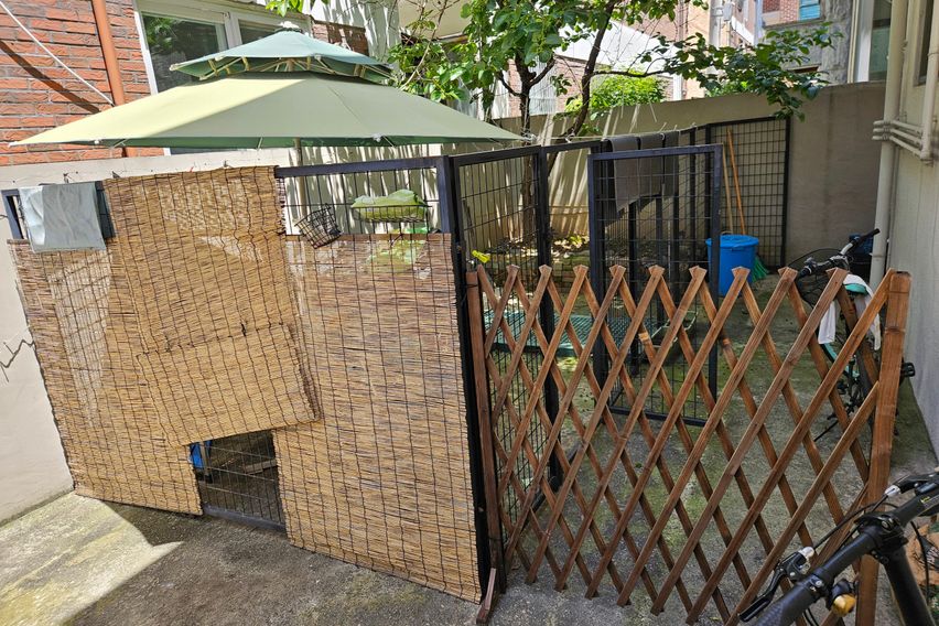 반려동물좋아요.