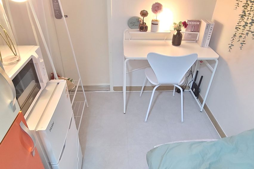 227스테이 -스탠다드