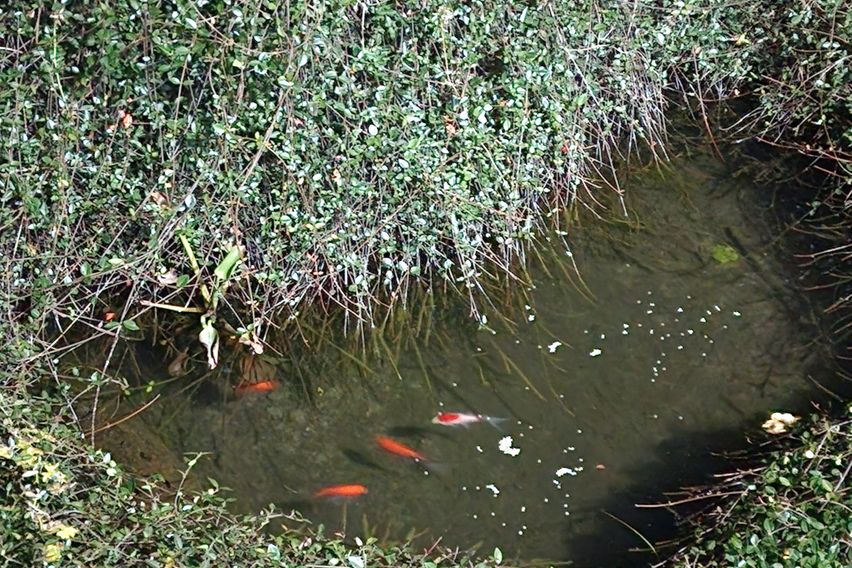 서귀포독채월풀헬스장