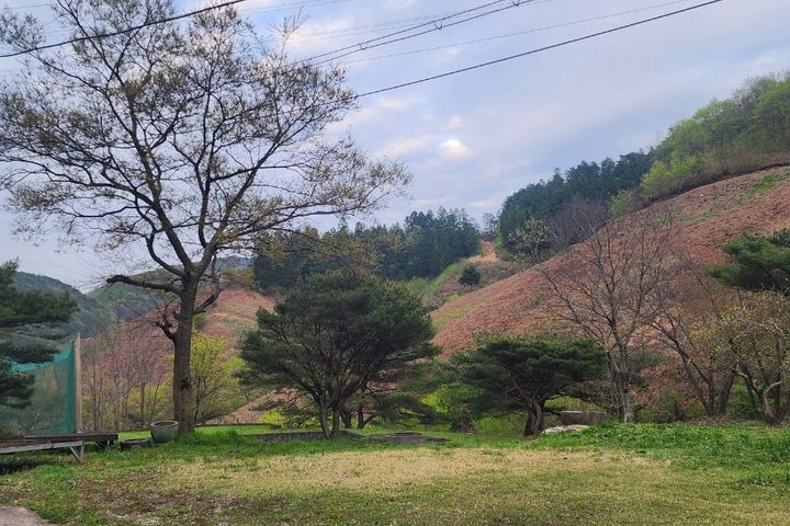 101호 8번째 이미지