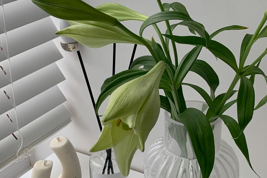 분리형풀옵션건조기서초❤️