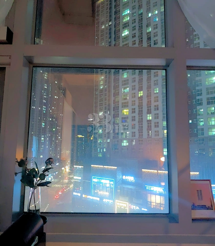 Dongtan Station Area, Fully Furnished, Duplex 3th image