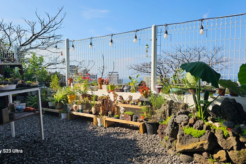 제주가성비오션뷰바다오름