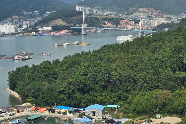보니하우스 7번째 이미지