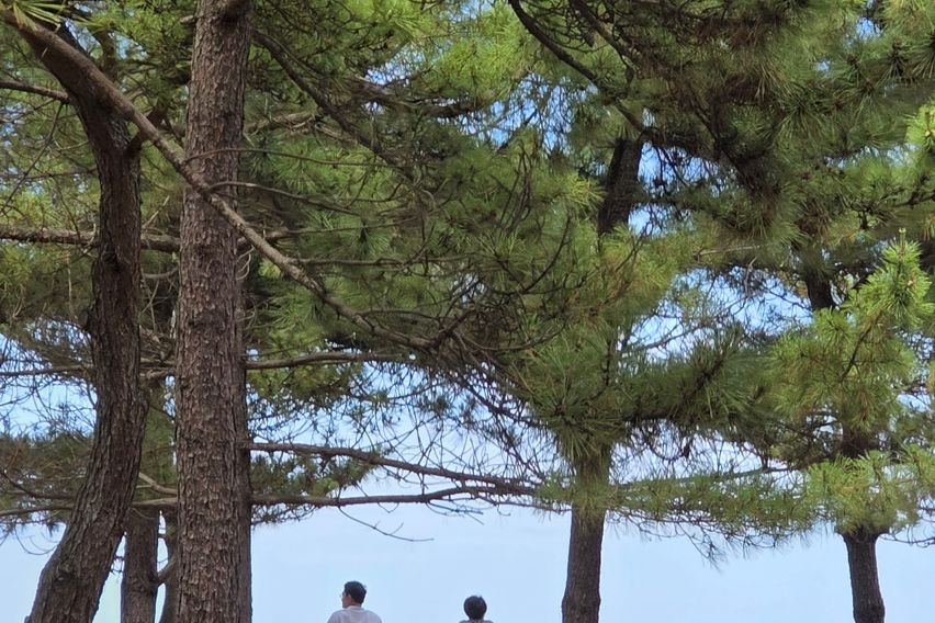 포남동독채 바닷가 5분 13번째 이미지