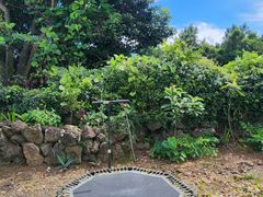 🏡 산방산 복층 독채 17번째 이미지