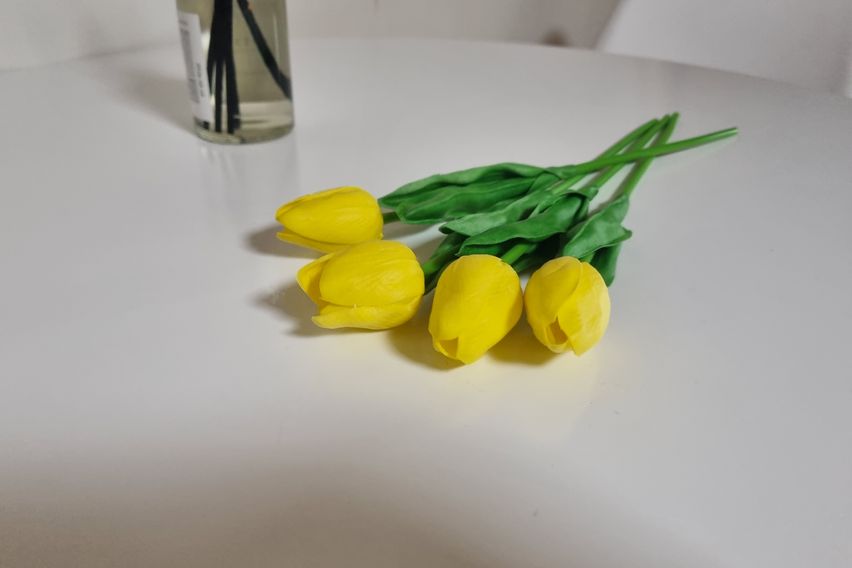 🌳계대룸룸🌸