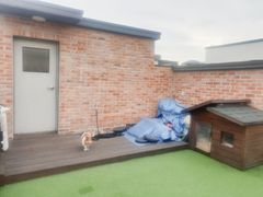 루프탑 테라스 3룸 2번째 이미지