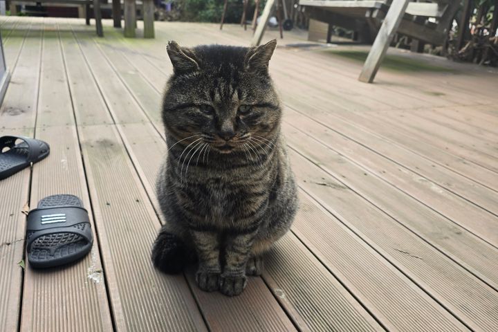 함덕근처 복층타운하우스 19번째 이미지