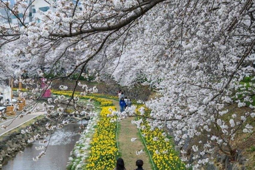 🌸궁거랑 최고 인기주택 18번째 이미지