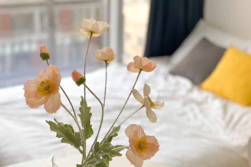 오픈특가🧡강남역초역세