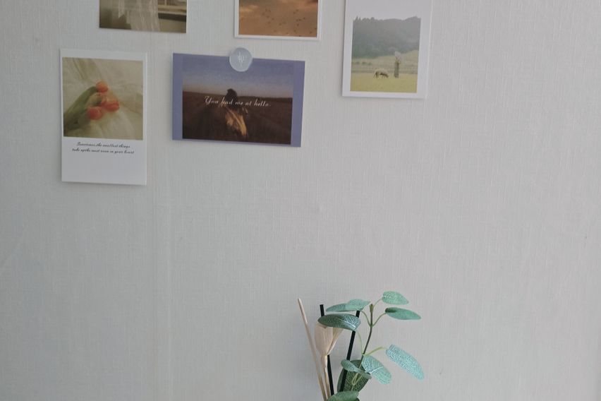 삼성역코엑스강남대치특가