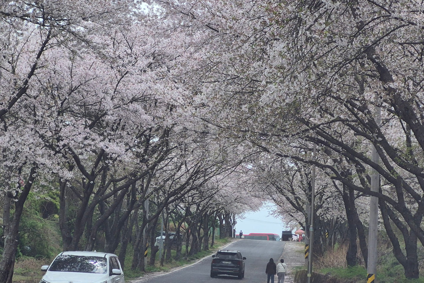 Business Trip to Sacheon City for Aerospace 16th image