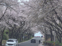 Business Trip to Sacheon City for Aerospace 16th image
