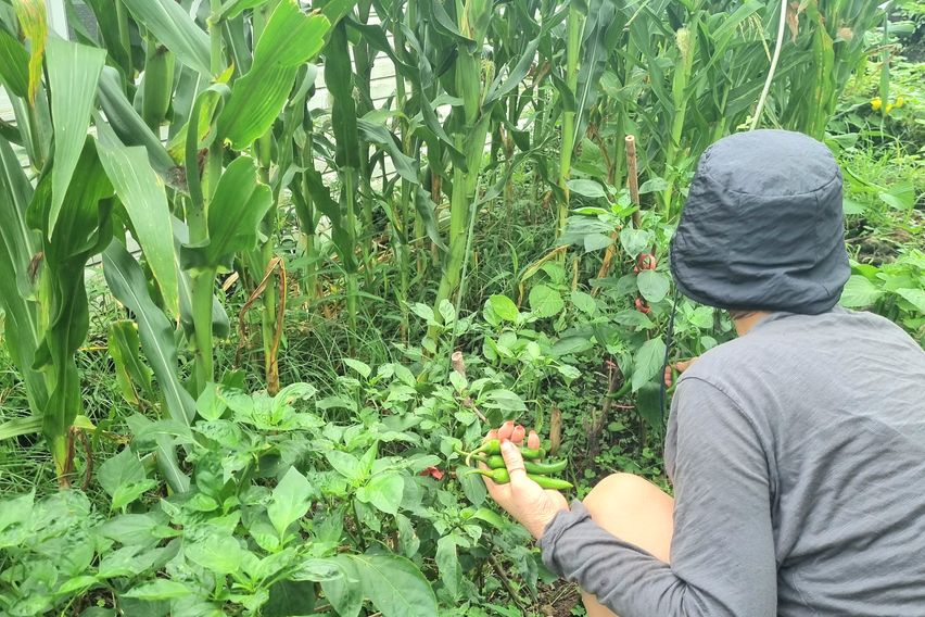 아담한 2룸형 독채-A