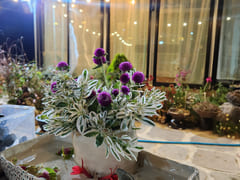 A room with a pretty garden in the forest. 19th image