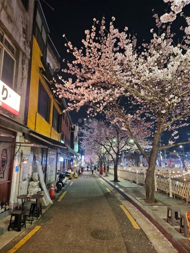 🩵 Neat place, 1 minute from Hansung Universi 18th image