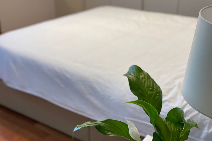제주 자연을 품은 주택 3번째 이미지