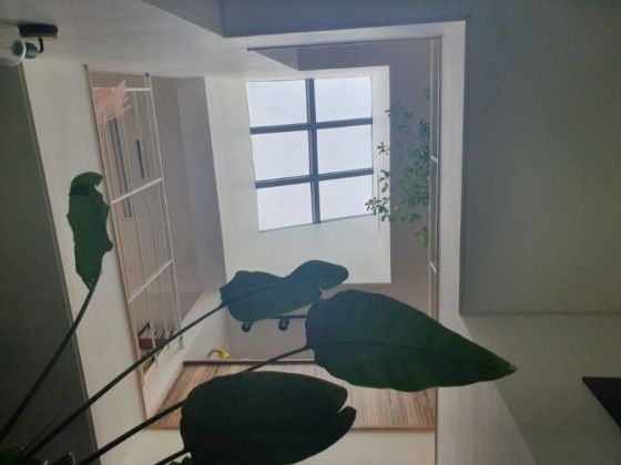 삼송역갤러리같은단독 0번째 이미지
