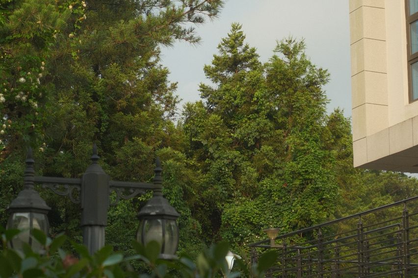 [애월] 스테이 파인힐 5번째 이미지