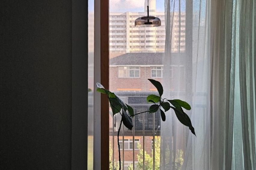 분당정자판교17평 건조 15번째 이미지