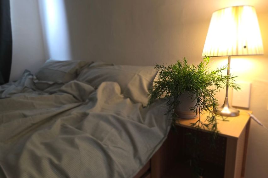 롯백성심당투룸오픈특가