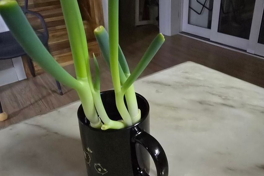 잠 만 주무실 쉐어 하