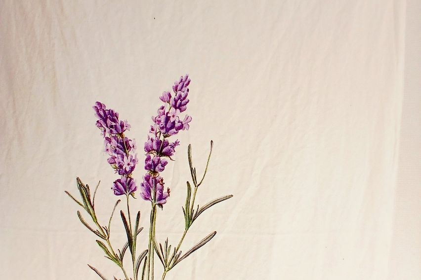 Namsan Foreign Language University with a vie 5th image