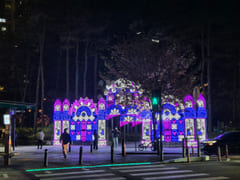π
2 minutes from Jamsil Station / Lotte Towe 18th image