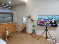 🌸신규할인심플마운틴뷰 1번째 이미지