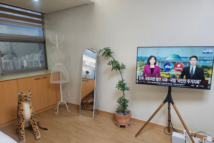 🌸신규할인심플마운틴뷰 1번째 이미지