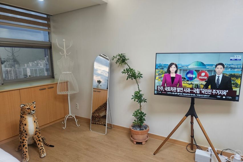 🌸신규할인심플마운틴뷰 1번째 이미지